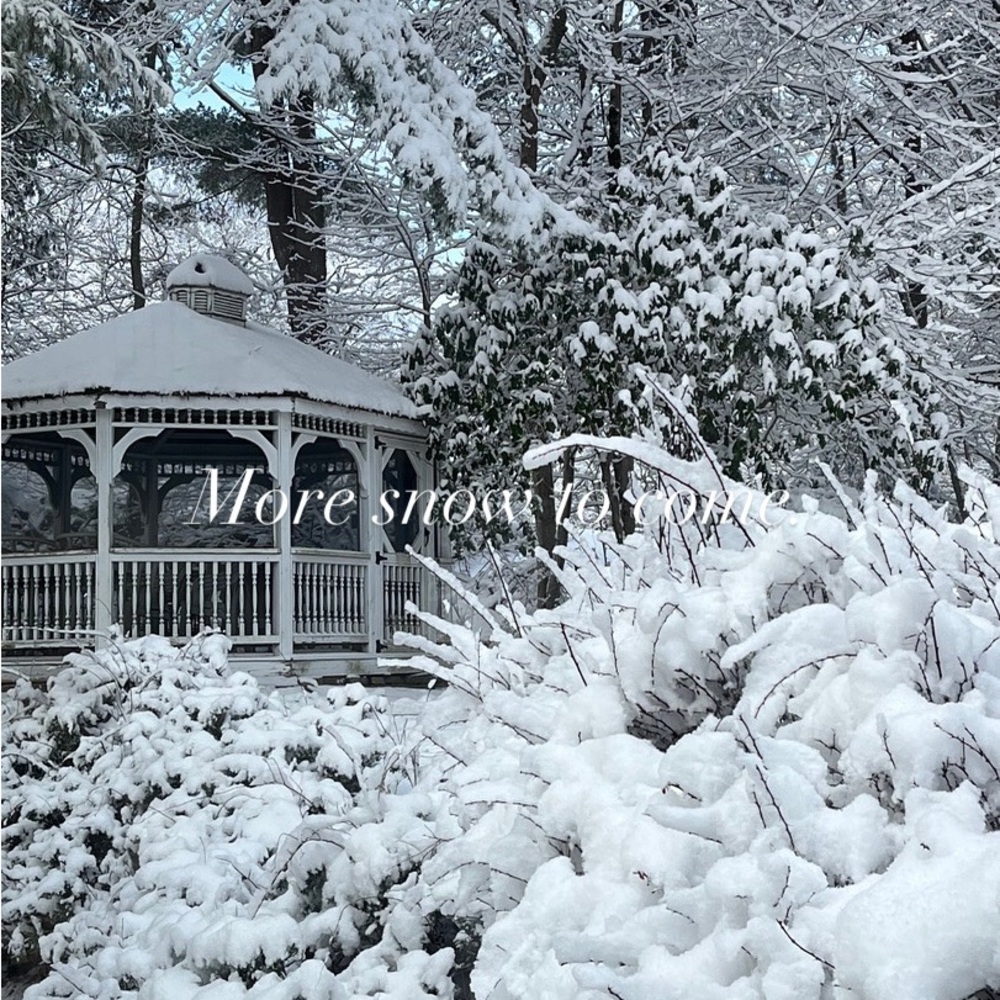 LET IT SNOW SALE..❄️❄️❄️❄️❄️❄️
